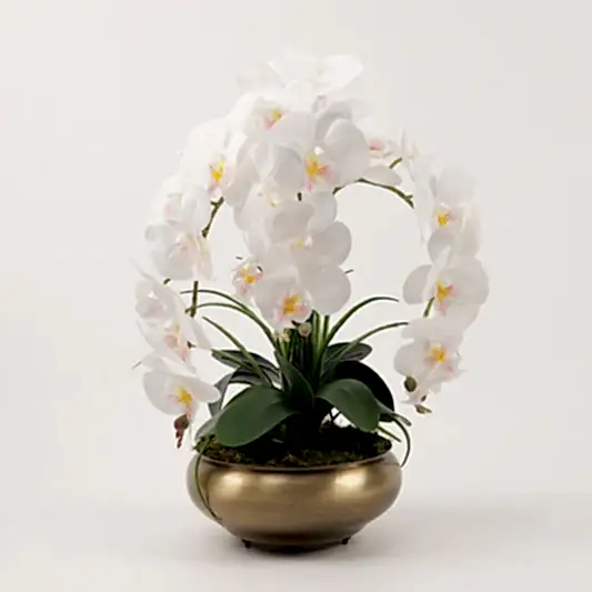 Yapay Islak Orkideli Antik Yassı Vazo