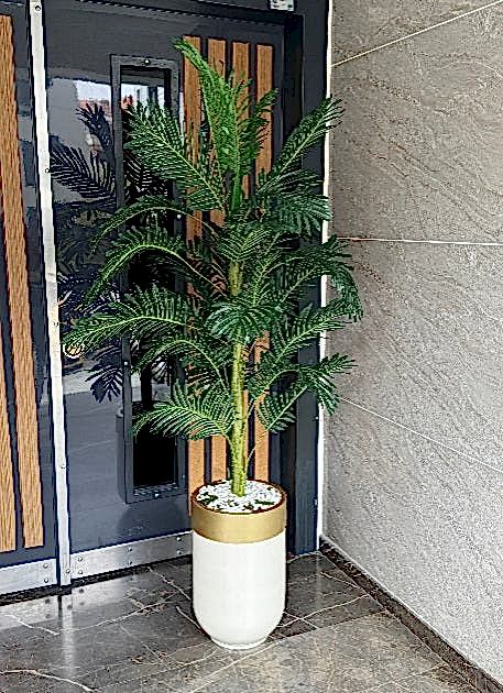 Krem Davul Saksı Gold Şeritli Arekalı No:3