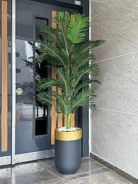 Siyah Davul Saksı Gold Şeritli Arekalı No:1