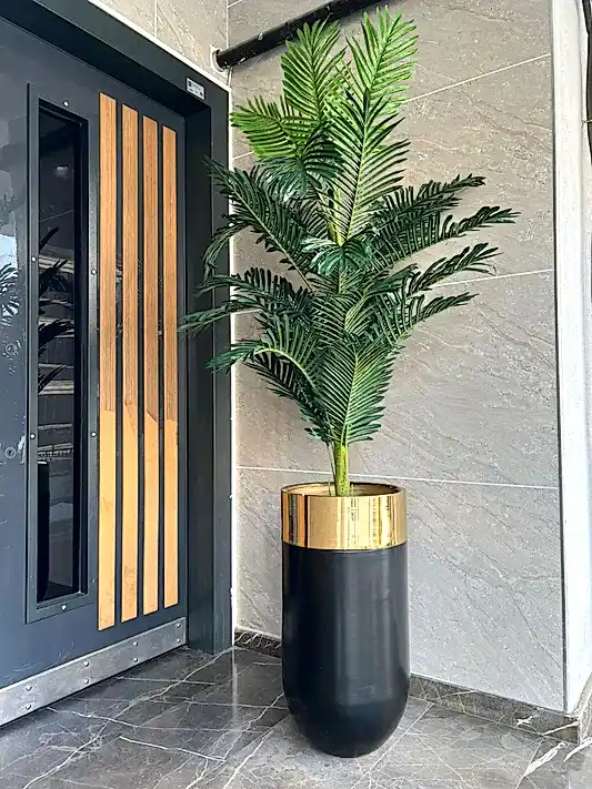 Yapay Büyük Arekalı Siyah Saksı Gold Çember